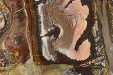 Polished Outback Jasper - Western Australia #137085-1